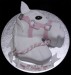 002641 White Horse Head Birthday Cake.jpg